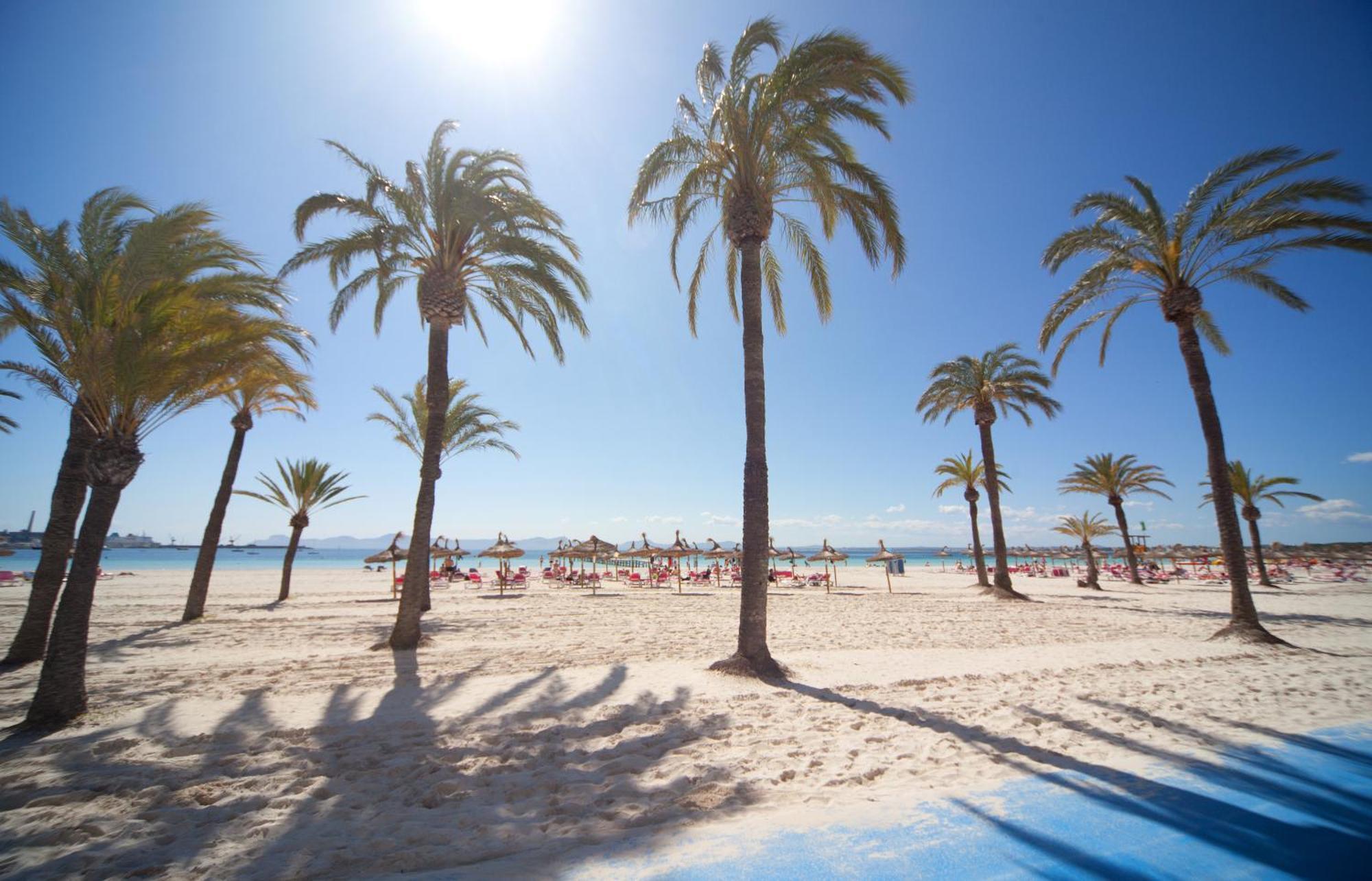 Apartamentos Ferrer Lime Tamarindos Port d'Alcúdia Extérieur photo