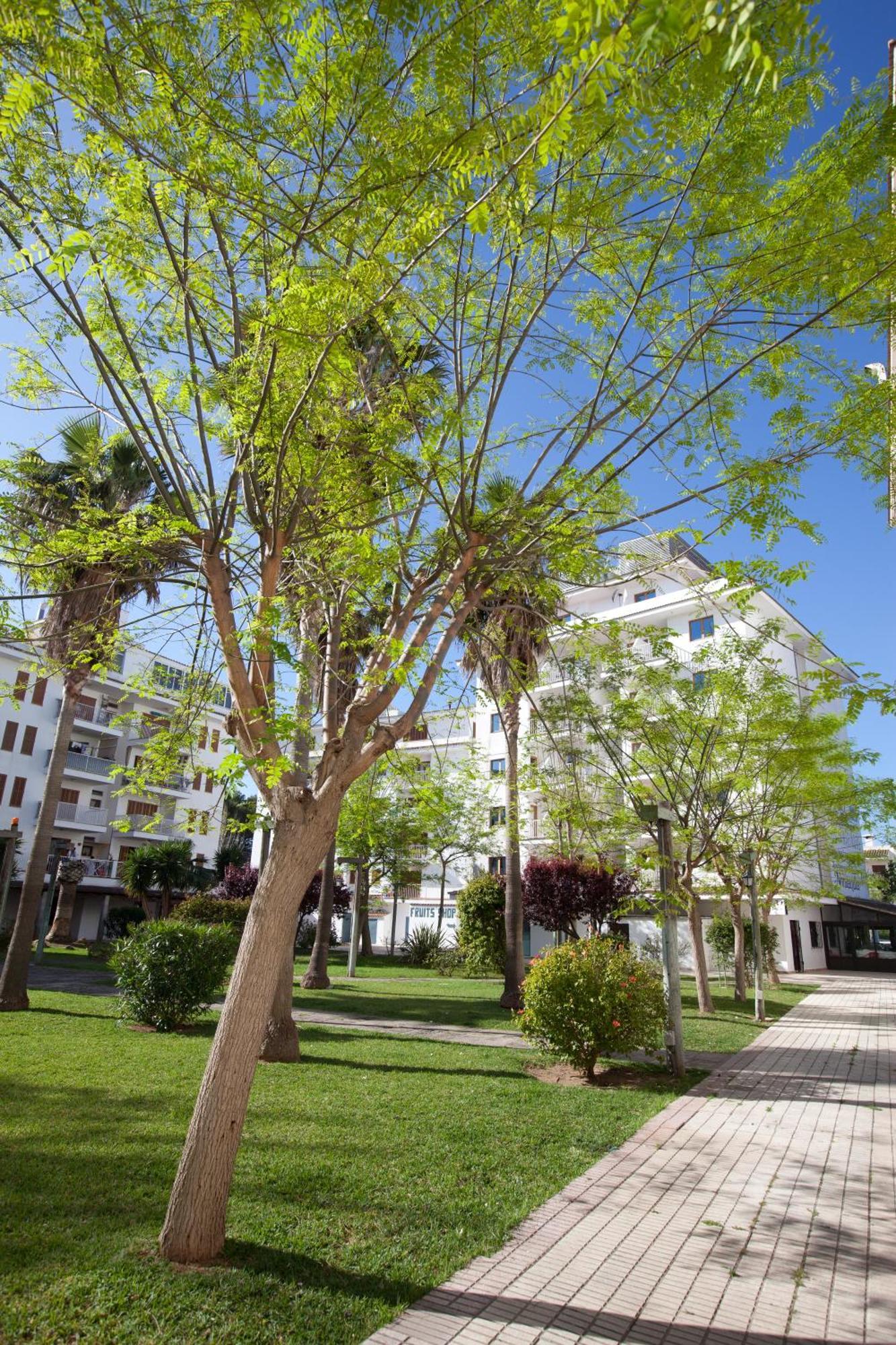 Apartamentos Ferrer Lime Tamarindos Port d'Alcúdia Extérieur photo